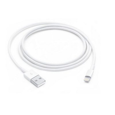 Apple Lightning to USB Cable (1m)