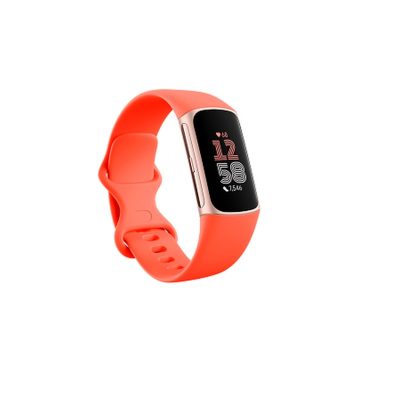 Fitbit Charge 6 Fitness Tracker | Coral/Champagne Gold